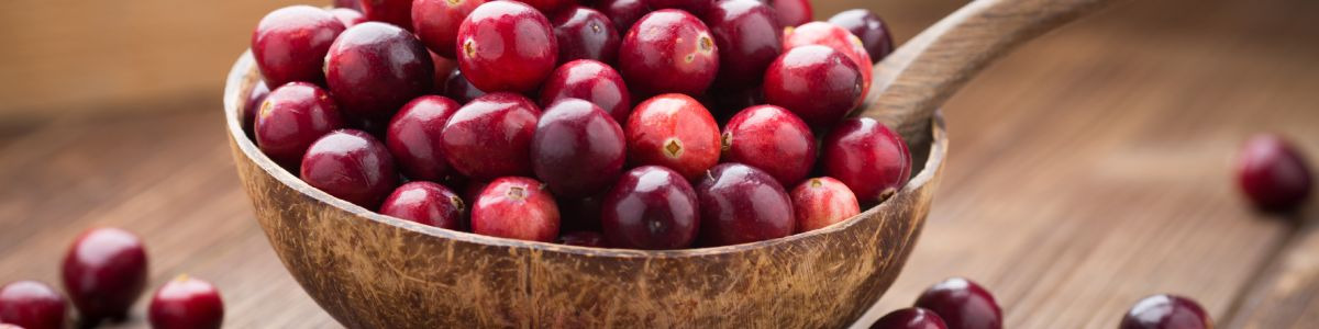 Cranberry et infections urinaires