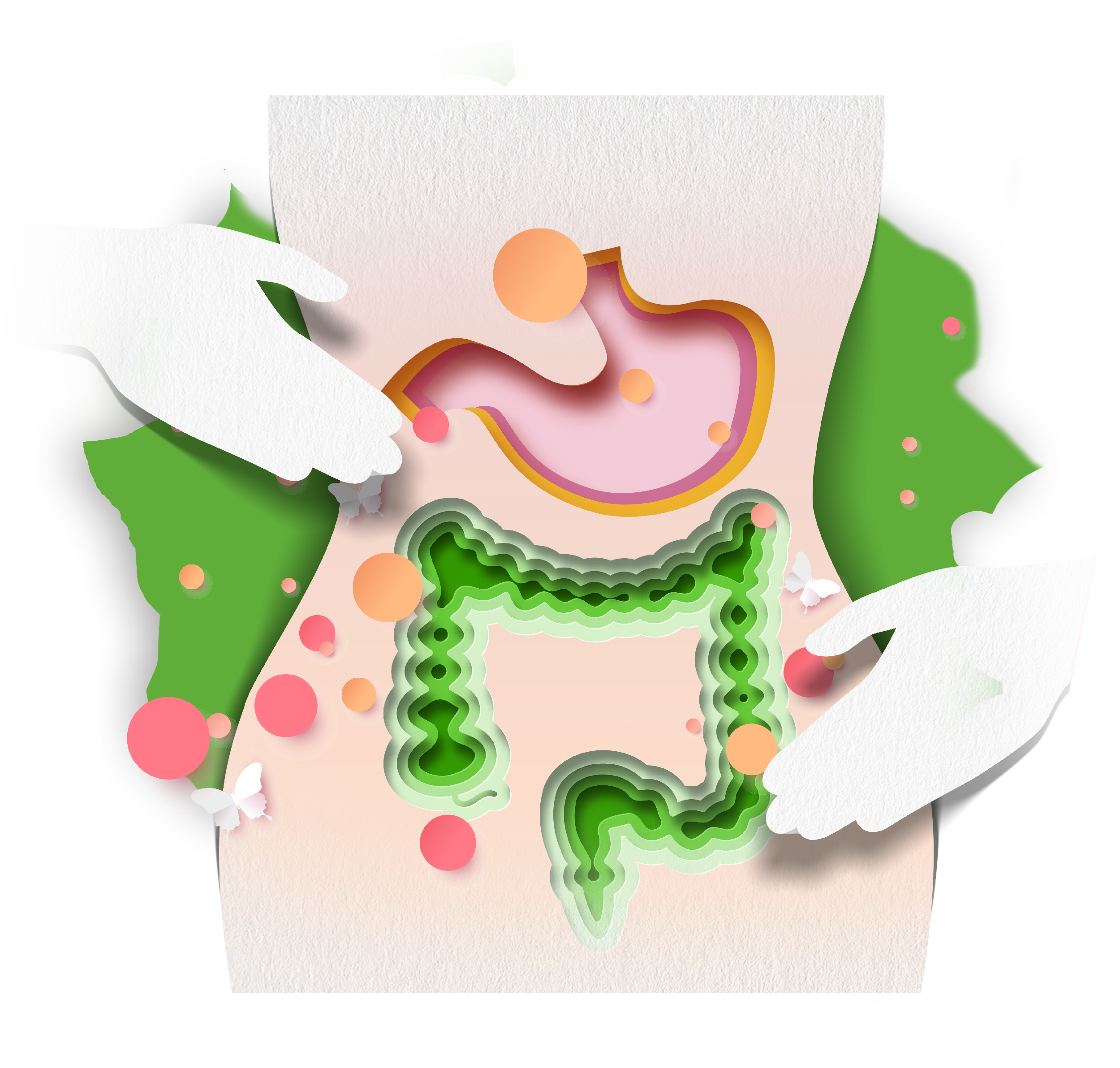 Métabolismes & confort digestif